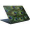 Peacock Surface Laptop Skin