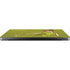 Disney Peter Pan and Tinker Bell Portrait Apple MacBook Pro 14-inch Skin