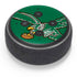 NFL Philadelphia Eagles Retro Logo Amazon Echo Dot Skin