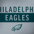 NFL Philadelphia Eagles Silver Performance Series PlayStation 4 Gold Wireless Headset Skin