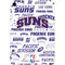 NBA Phoenix Suns Historic Blast Apple iPad Mini Skin