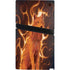 Phoenix Wolf by Vincent Hie PS5 Pro Console Skin