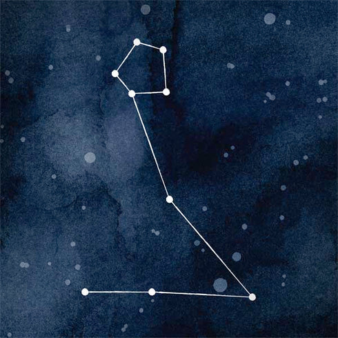 Pisces Constellation MacBook Skins