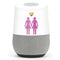 Pink Pride Google Home Skin