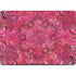 Pink Zen Ginseng Apple MacBook Pro 14-inch Skin