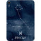 Pisces Constellation Apple iPad Mini Skin
