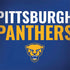 University of Pittsburgh Panthers Dell Latitude Skin
