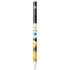 NFL Pittsburgh Steelers Apple Pencil (1st Gen, 2017) Skin