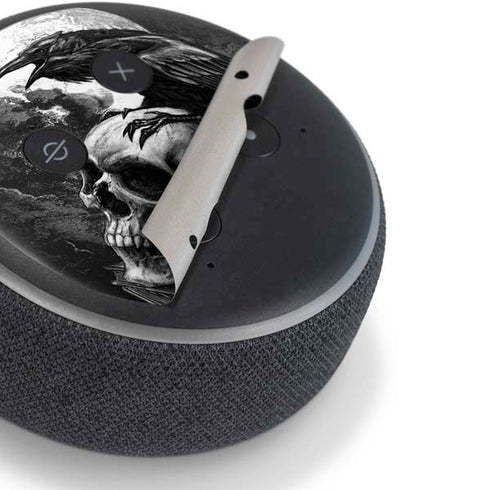 Alchemy Carta Poe's Raven Amazon Echo Dot Skin