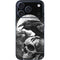 Alchemy Carta Poes Raven iPhone 17 Pro Max Skin
