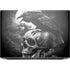 Alchemy Carta Poes Raven HP ZBook Fury 16 G10 Skin