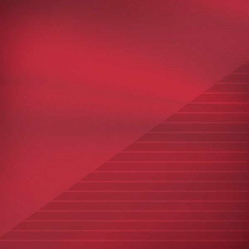 Poland Soccer Flag Moto G6 Skin