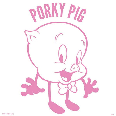 Looney Tunes Porky Pig Big Head PS4 Console Skin