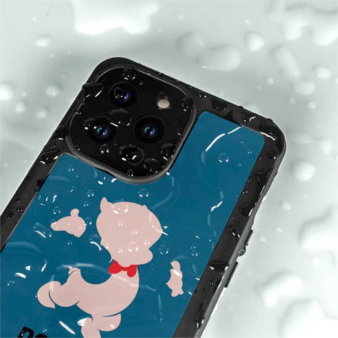 Looney Tunes Porky Pig Identity iPhone 15 Pro Waterproof Case