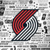NBA Portland Trail Blazers Historic Blast Dell Latitude Skin
