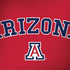 University of Arizona Primary Logo Red Dell Latitude Skin