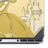 Disney Princess Belle Art Dell Precision Skin
