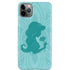 Disney Aladdin Princess Jasmine Silhouette Flower iPhone Cases
