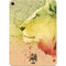 Profile of the Lion of Judah Apple iPad Air Skin