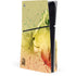 Profile of the Lion of Judah PlayStation PS5 Skins