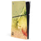 Profile of the Lion of Judah PS5 Slim Digital Edition Console Skin
