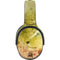Profile of the Lion of Judah Skullcandy Venue Skin