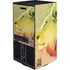 Profile of the Lion of Judah XBox Series X Digital Edition Bundle Skin