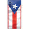 Puerto Rico Flag Galaxy Note 10 Plus Skin
