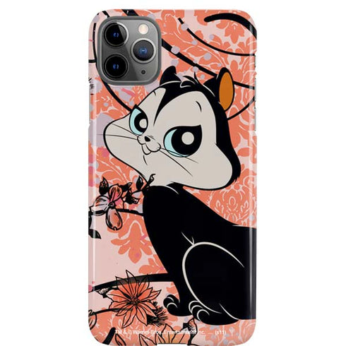 Looney Tunes Pussyfoot iPhone Cases