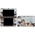 Putti by Raphael Nintendo Skins