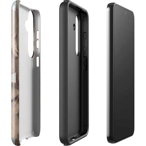 Putti by Raphael Galaxy S25 Impact Case
