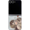 Putti by Raphael Galaxy Z Flip6 Skin