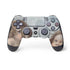 Putti by Raphael PlayStation PS4 Skins