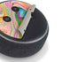 Etta Vee Rainbow Marble Amazon Echo Dot Skin