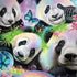 Rainbow Pandas with Butterflies by Sheena Pike MacBook Skins