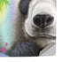 Rainbow Pandas with Butterflies by Sheena Pike PS5 Pro Console Skin
