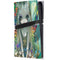Rainbow Winged Yoga Fairy by Jasmine Becket-Griffith PS5 Pro Console Skin