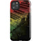 Rasta Color Keys iPhone Cases
