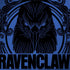 Wizarding Worlds Harry Potter Ravenclaw Illustration Dell Latitude Skin