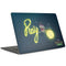 Disney Princess and The Frog Ray MacBook Skins