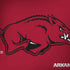 University of Arkansas-Fayetteville Razorbacks Red Logo Dell Alienware Skin