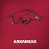 University of Arkansas-Fayetteville Razorbacks Red Logo Amazon Echo Skin