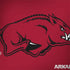 University of Arkansas-Fayetteville Razorbacks Red Logo Dell Inspiron Skin