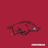 University of Arkansas-Fayetteville Razorbacks Red Logo PS4 Pro Console Skin
