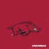 University of Arkansas-Fayetteville Razorbacks Red Logo PS4 Slim Skin