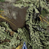 NFL Realtree Camo Dallas Cowboys iPhone XS Pro Case