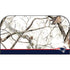 NFL Realtree Camo New England Patriots Nintendo Switch 2 (2025) with Joy-Con Skin