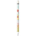 Disney Winnie the Pooh Red Ballon Apple Pencil (1st Gen, 2017) Skin