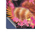 Red Panda with Flowers by Sheena Pike Galaxy Z Fold6 Skin