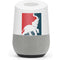 Republican Google Home Skin